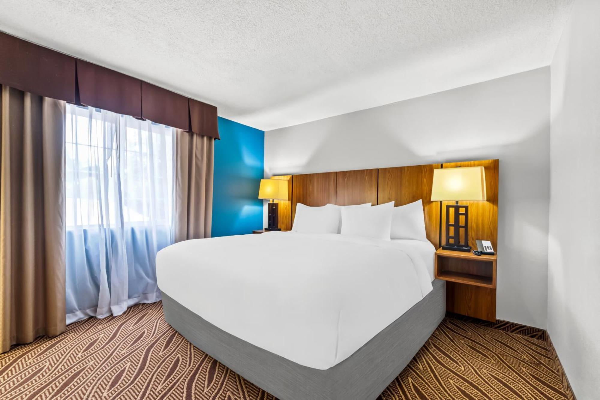 Quality Inn & Suites Airport North - Stone Oak San Antonio Exteriér fotografie